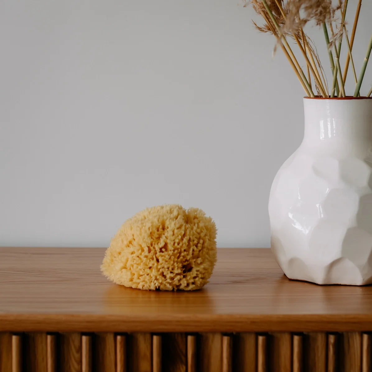 Yellow sponge and white vase with dried plants on a wooden surface