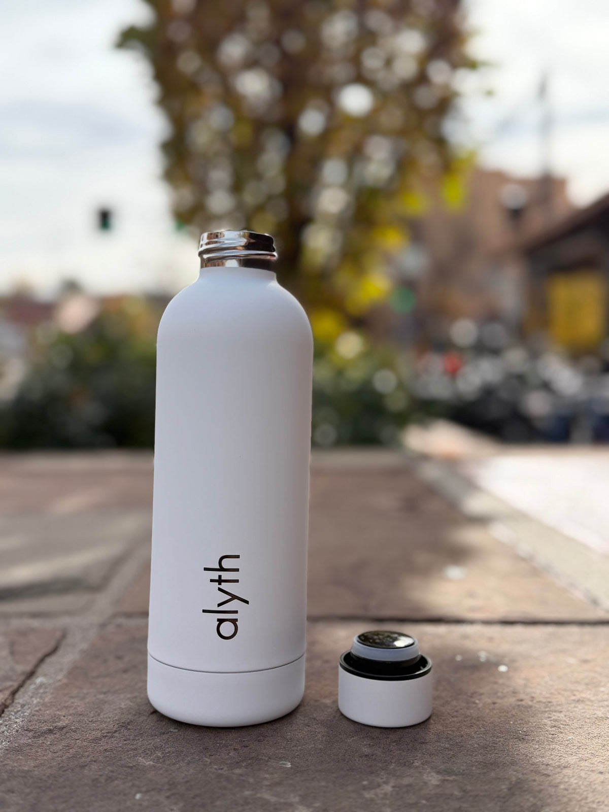 Alyth 16oz Insulated Water Bottle