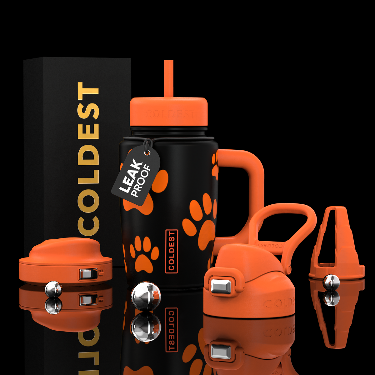 COLDEST 15oz Limitless Ultra v8 water bottle in Pumpkin Paws