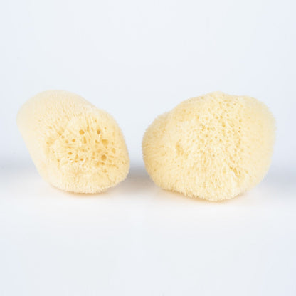 Two yellow sponges on a white background
