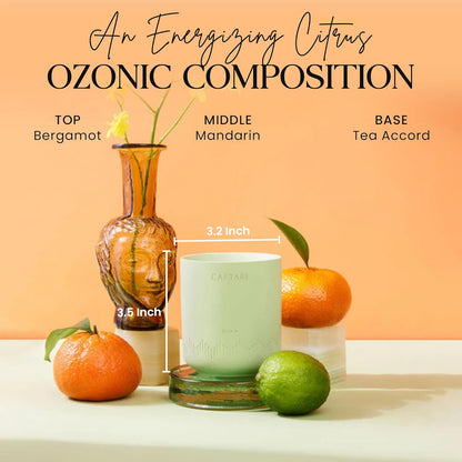 Elixir Bergamot Scented Candle styled with citrus fruit and a vase on an orange background, captioned as an energizing citrus composition