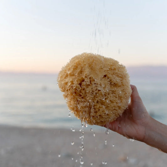Hand holding a sponge with water dripping from it against a beach background