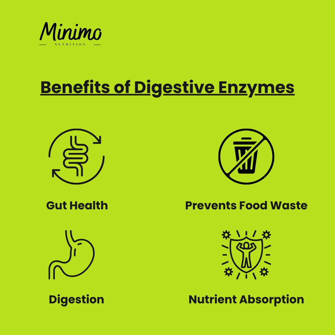 Minimo Nutrition Digestive Enzyme Pro Blend, supplemental product graphic, alternate view