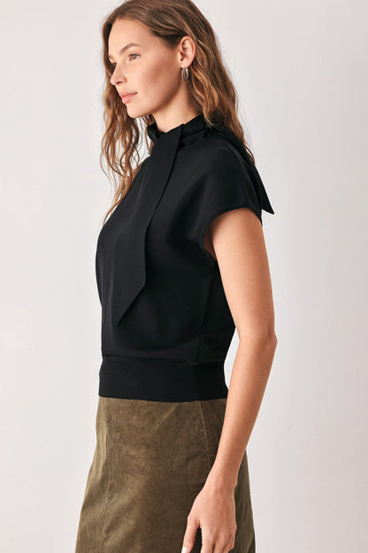 Soft knit top with a scarf-style neckline tie and a polished silhouette.