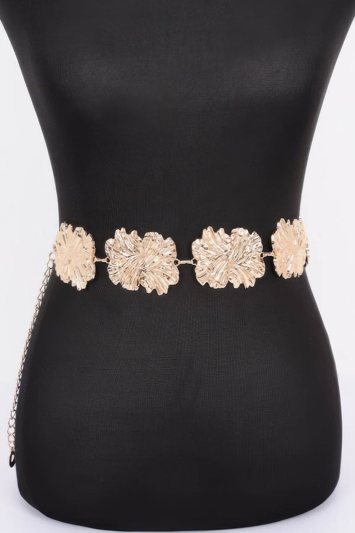 Metal Chain Belt, product photo