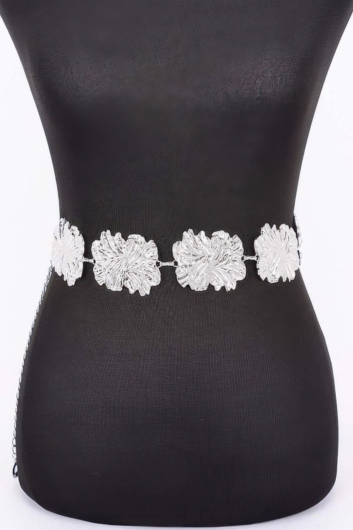 Metal Chain Belt, product photo (2)